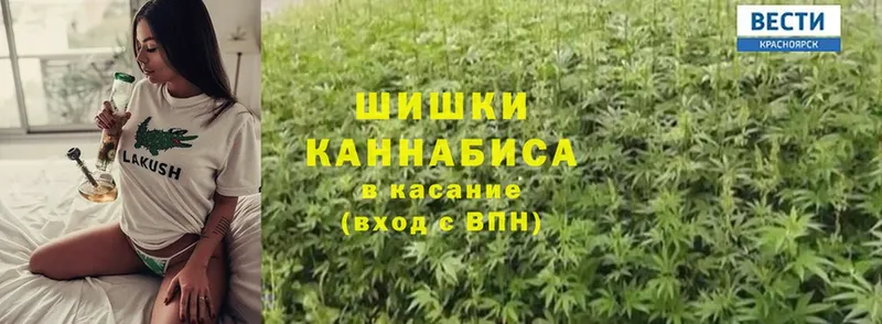 Бошки марихуана Amnesia  Рославль 